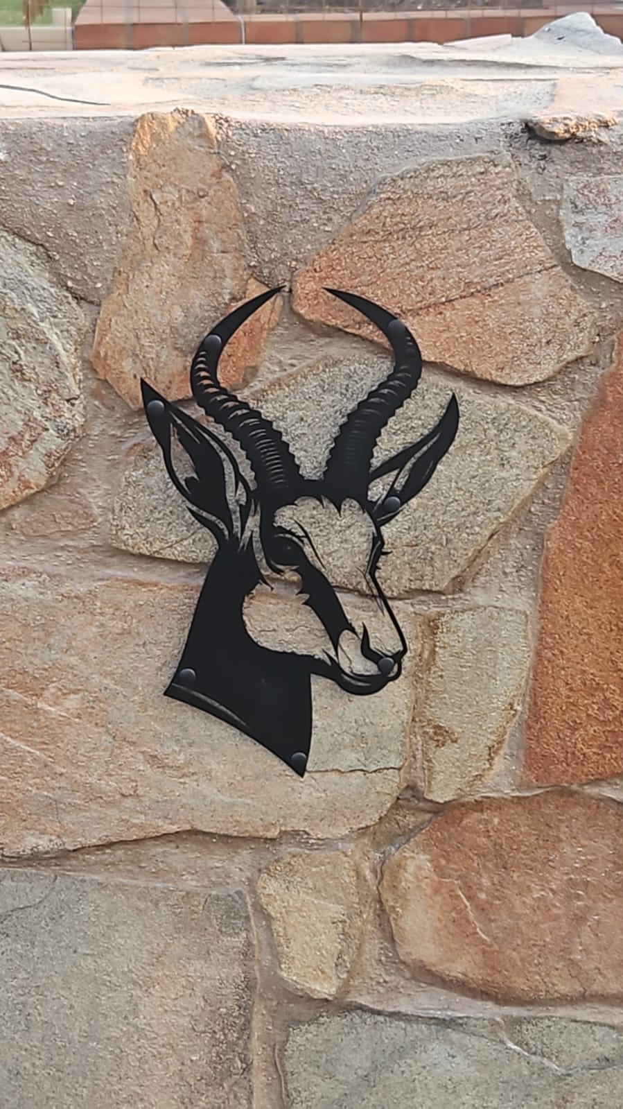 Springbok Head Metal Wall Art